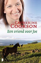 Foto van Een vriend voor joe - catherine cookson - ebook (9789460234415)