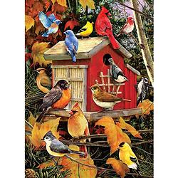 Foto van Cobble hill puzzle 1000 pieces - fall birdhouse - till end of stock