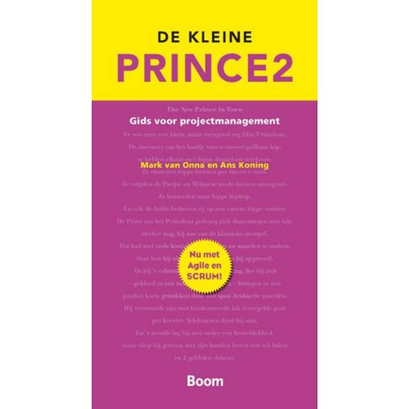 Foto van De kleine prince 2