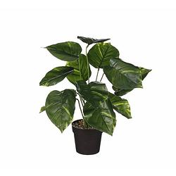 Foto van Mica decoration kunstplant philodendron - groen - h40 en d35 cm - kamerplant - kunstplanten