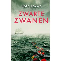 Foto van Zwarte zwanen