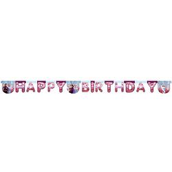 Foto van Disney letterslinger frozen happy birthday 2 meter karton roze