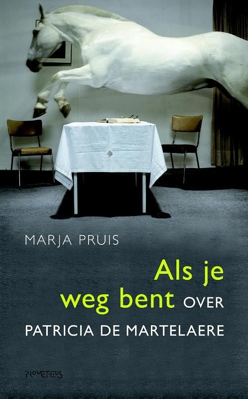 Foto van Als je weg bent - marja pruis - ebook (9789044623932)