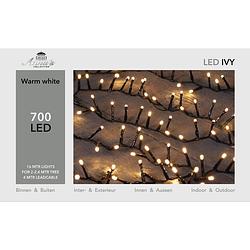 Foto van Led ivy 700l/16m warmwit 4m aanloopsnoer zwart/ip44 anna's collection