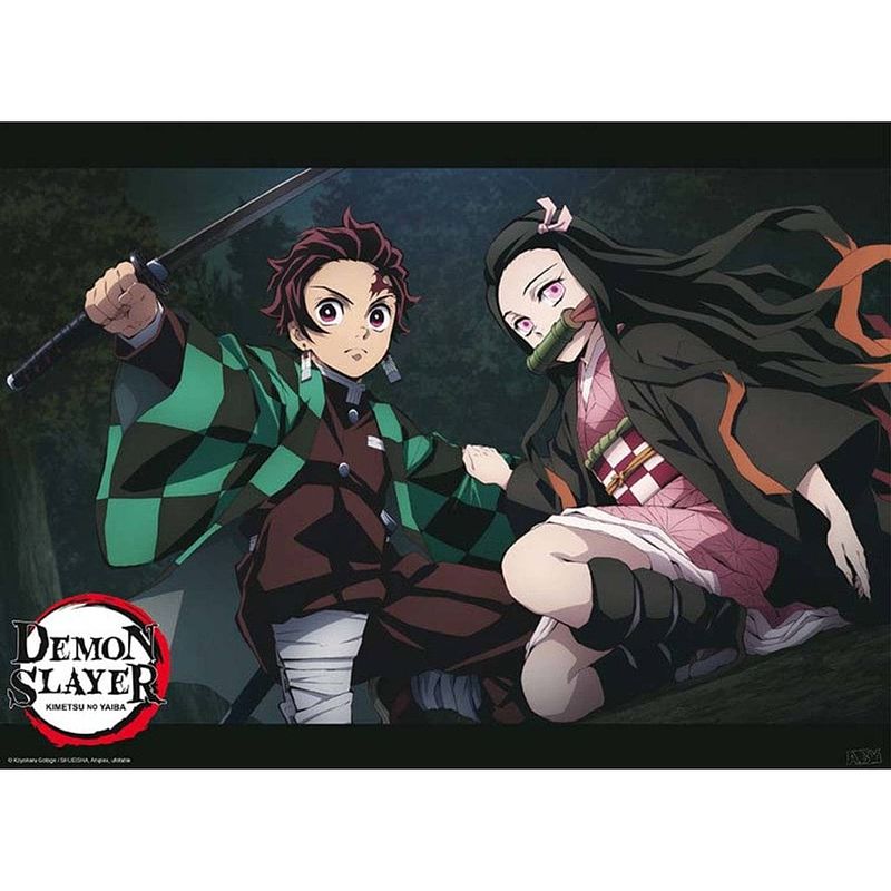 Foto van Abystyle demon slayer tanjiro and nezuko fight position poster 52x38cm