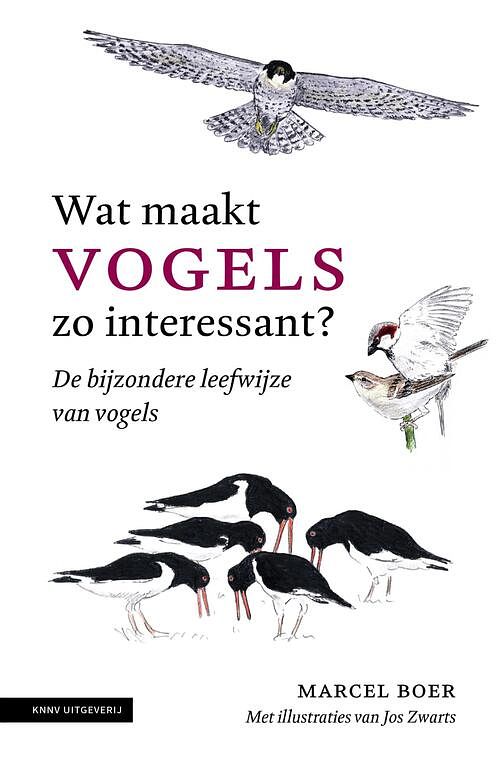 Foto van Wat maakt vogels zo interessant - marcel boer - ebook (9789050118095)