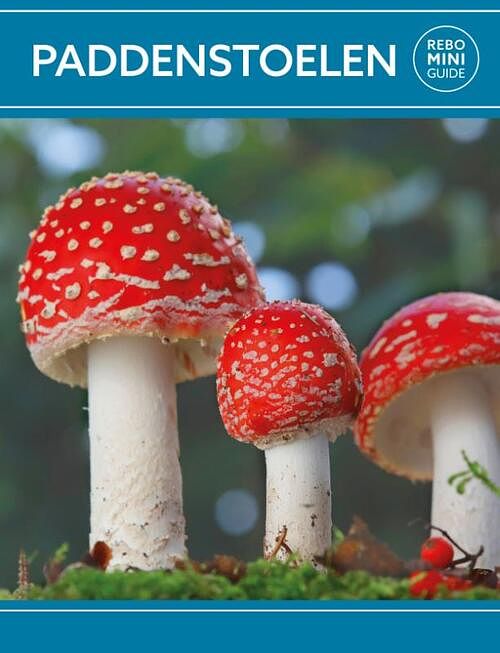 Foto van Paddenstoelen - rebo mini guide - paperback (9789036643993)