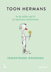 Foto van In de stilte zal ik je opnieuw ontmoeten - toon hermans - hardcover (9789401478694)