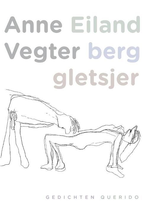 Foto van Eiland berg gletsjer - anne vegter - ebook (9789021450803)