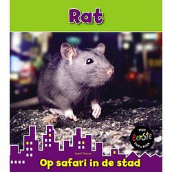 Foto van Rat - op safari in de stad