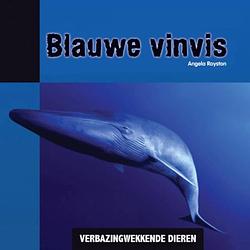 Foto van Blauwe vinvis - verbazingwekkende dieren