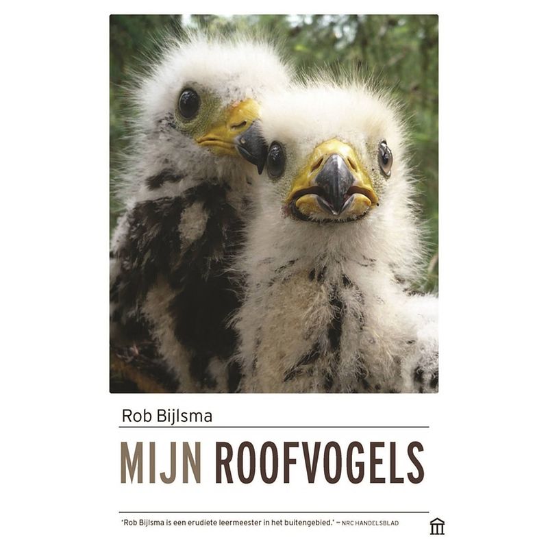 Foto van Mijn roofvogels