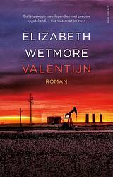 Foto van Valentijn - elizabeth wetmore - ebook (9789025454005)