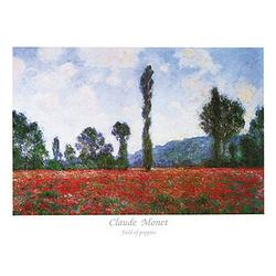 Foto van Claude monet - field of poppies kunstdruk 80x60cm