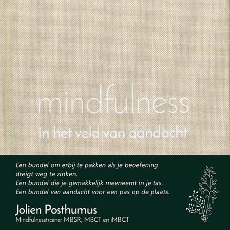 Foto van Mindfulness in het veld van aandacht