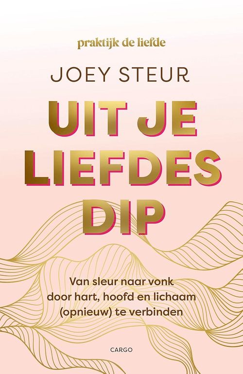 Foto van Uit je liefdesdip - joey steur - ebook