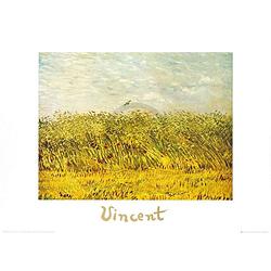 Foto van Vincent van gogh - the wheat field kunstdruk 70x50cm