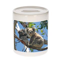 Foto van Dieren foto spaarpot koala beer 9 cm - koalaberen spaarpotten jongens en meisjes - spaarpotten