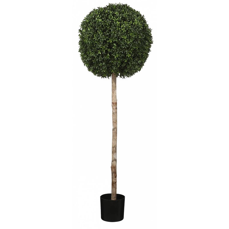 Foto van Tom kunstboom buxus 1,2 meter groen 2-delig