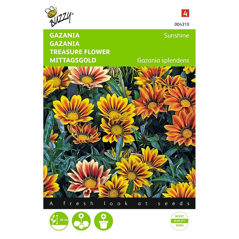 Foto van 2 stuks gazania splendens hybrida sunshine gemengd