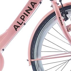 Foto van Alpina spatbord set 26 clubb desert pink matt