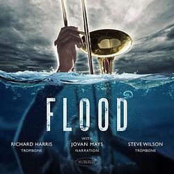 Foto van Flood - cd (0099402806921)