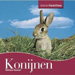 Foto van Konijnen - dierenfamilies