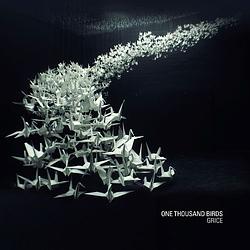 Foto van One thousand birds - cd (5060293000212)