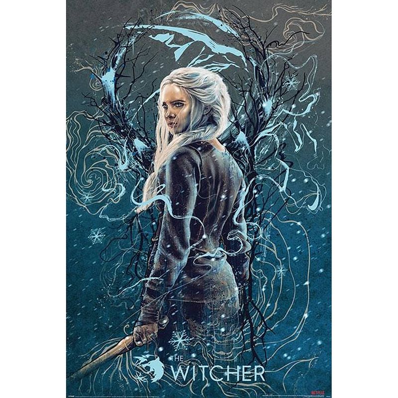 Foto van Pyramid the witcher ciri the swallow poster 61x91,5cm