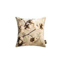 Foto van Ptmd jash grey cotton velvet cushion cotton plant s