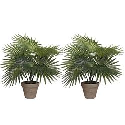 Foto van Mica decorations palm kunstplant/struik - 2x - groen - h40 x d35 cm - kunstplanten