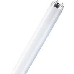 Foto van Osram tl-lamp energielabel: g (a - g) g13 16 w warmwit buis (ø x l) 25.5 mm x 734.2 mm 1 stuk(s)