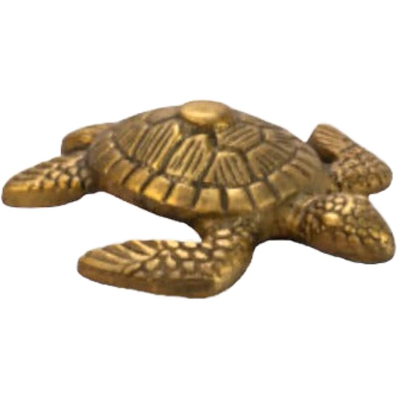 Foto van Home society decoratieve schildpad tortuga set van 2