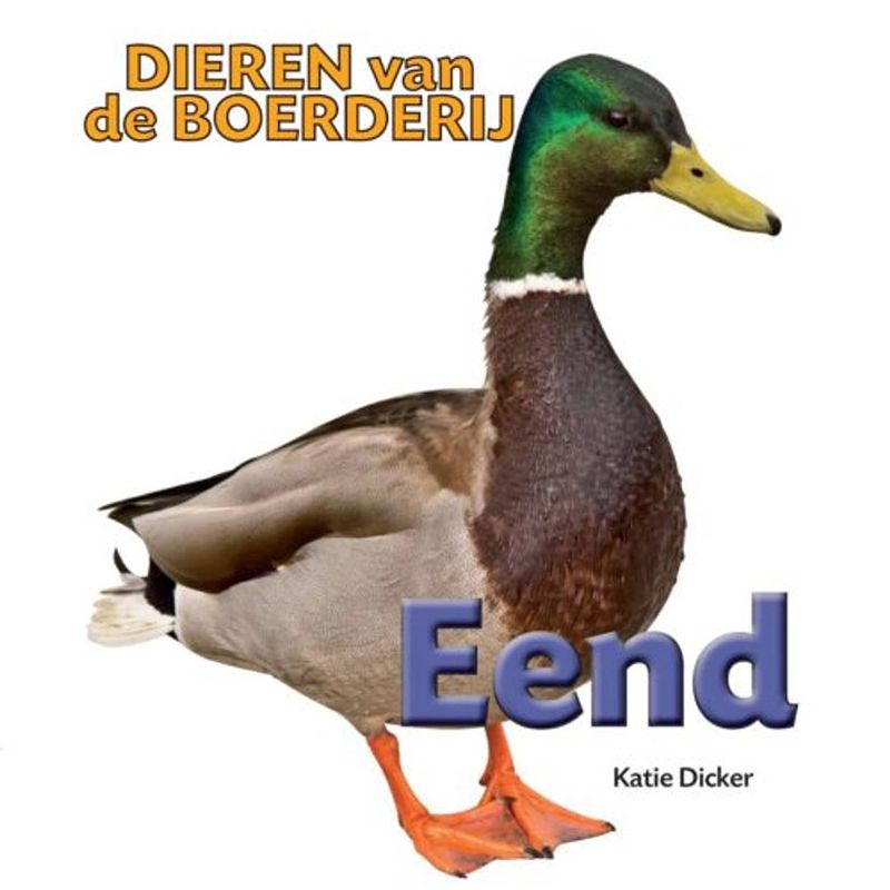 Foto van Eend - dieren van de boerderij