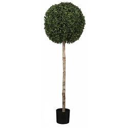 Foto van Tom kunstboom buxus 1,2 meter groen 2-delig