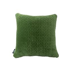 Foto van Decorative cushion dublin moss green 42x42