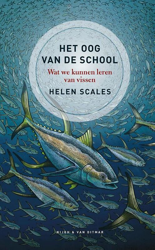 Foto van Het oog van de school - helen scales - ebook (9789038805382)