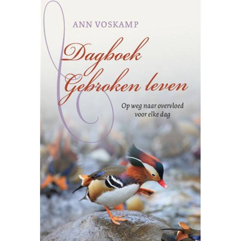 Foto van Dagboek gebroken leven