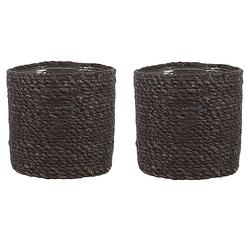 Foto van 2x stuks naturel grijs rotan planten pot mand van gedraaid jute/riet h16 en d16 cm - plantenpotten