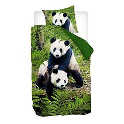 Foto van Snoozing pandas dekbedovertrek - 100% katoen - 1-persoons (140x200/220 cm + 1 sloop) - 1 stuk (60x70 cm) - groen