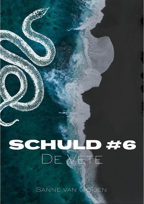 Foto van De vete - sanne van ooijen - ebook (9789083113180)