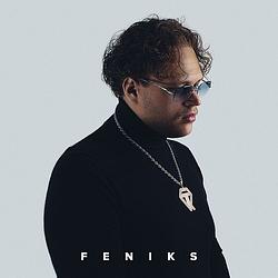 Foto van Feniks - cd (8718521064211)