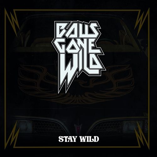 Foto van Stay wild - cd (4250444191185)