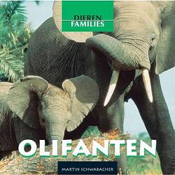 Foto van Olifanten - dierenfamilies