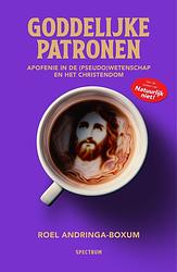 Foto van Goddelijke patronen - roel andringa-boxum - ebook