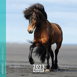 Foto van Paarden kalender 2023