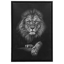 Foto van Schilderij leeuw - zwart - 64x44x4 cm - leen bakker