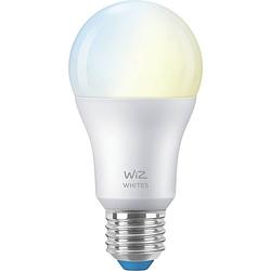 Foto van Wiz connected lamp wit variabel e27 60w