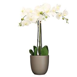 Foto van Orchidee kunstplant wit - 75 cm - inclusief bloempot taupe mat - kunstplanten