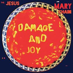 Foto van Damage and joy - cd (5060467888660)